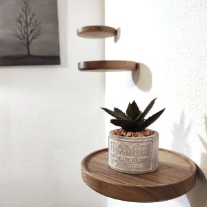 Wooden shelves for wall, walnut floating shelf, small modern shelves, ash decorative plant shelf